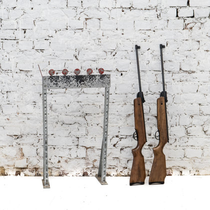 Pneimo šautene + biatlona mērķis